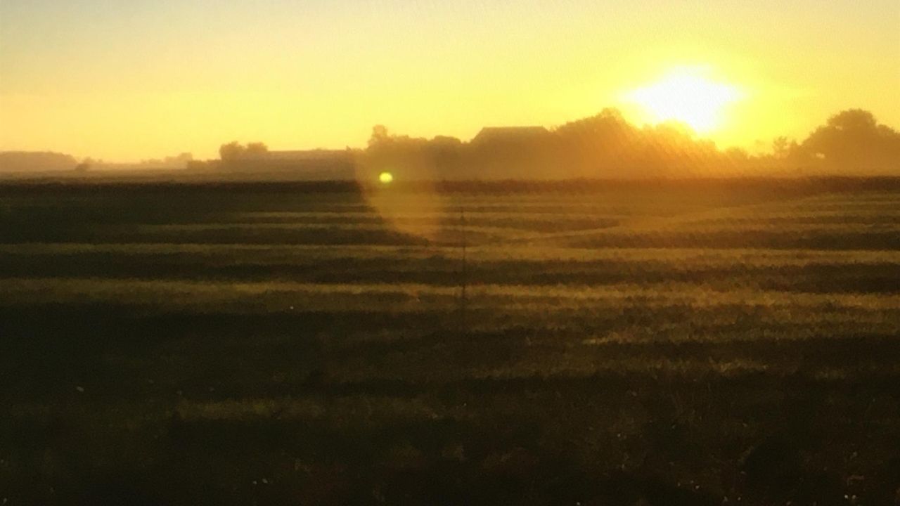 Sonnenuntergang von unserem Garten über dem Deich Sonnenuntergang von unserem Garten über dem Deich